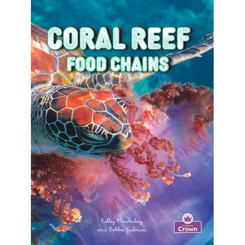 Coral Reef Food Chains