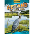 Wetland Life Connections