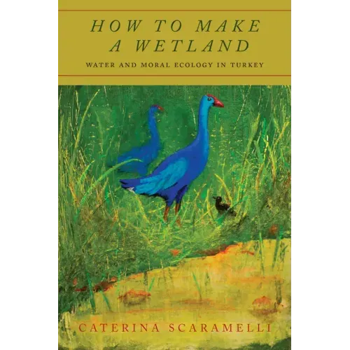 How to Make a Wetland: Water and Moral Ecology in Turkey