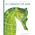 El Caballito de Mar