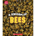 A Swarm of Bees (Learn About: Animals)