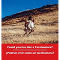 Could you live like a Tarahumara? ¿Podrias vivir como un Tarahumara?: bilingual English and Spanish