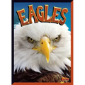 Eagles