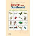 Insects of the Southwest: How to Identify Helpful, Harmful, and Venomous Insects