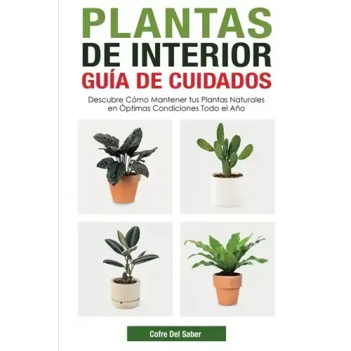 Plantas de Interior - Guía de Cuidados: Descubre Cómo Mantener tus Plantas Naturales en Óptimas Condiciones Todo el Año