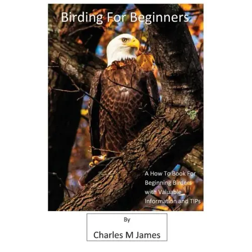 Birding for Beginners