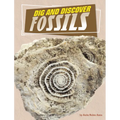 Dig and Discover Fossils