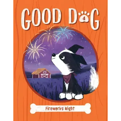 Fireworks Night: #4