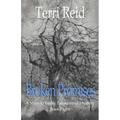 Broken Promises: A Mary O'Reilly Paranormal Mystery - Book Eight