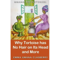Mmama Tells Stories: Why Tortoise Has No Hair on its Head and More