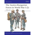 The Austro-Hungarian Forces in World War I (2): 1916-18