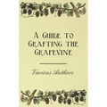 A Guide to Grafting the Grapevine