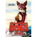Superpower Dogs: Henry: Avalanche Rescue Dog