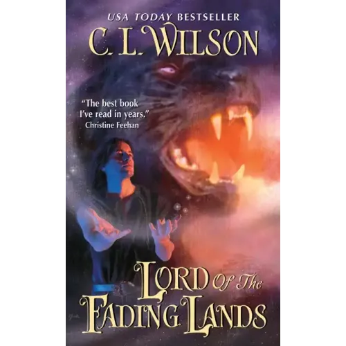 Lord of the Fading Lands