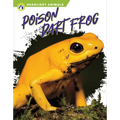 Poison Dart Frog