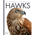 Hawks