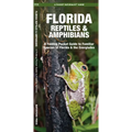 Florida Reptiles & Amphibians: A Folding Pocket Guide to Familiar Species of Florida & the Everglades