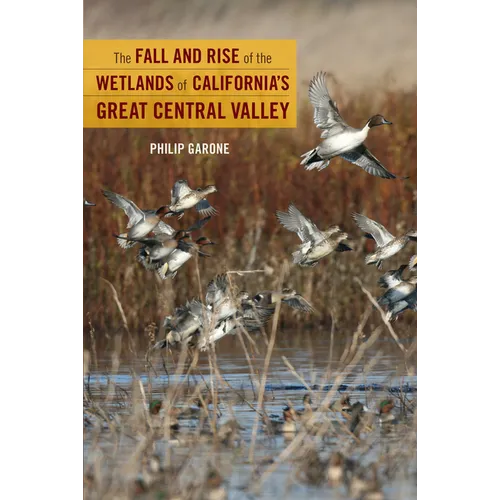 The Fall and Rise of the Wetlands of California's Great Central Valley