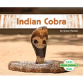 Indian Cobra