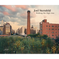 Joel Sternfeld: Walking the High Line: Revised Edition