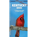 Kentucky Birds: A Folding Pocket Guide to Familiar Species