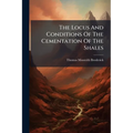 The Locus And Conditions Of The Cementation Of The Shales
