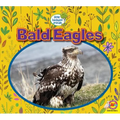 Bald Eagles