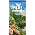 New Hampshire Trees & Wildflowers: A Folding Pocket Guide to Familiar Plants