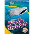 Whale Sharks