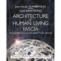 Architecture of Human Living Fascia: The Extracellular Matrix and Cells Revealed Through Endoscopy