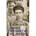 Cudnovate zgode segrta Hlapica