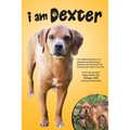 I Am Dexter