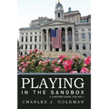 Playing in the Sandbox: A Lawyers Guide Volume 1