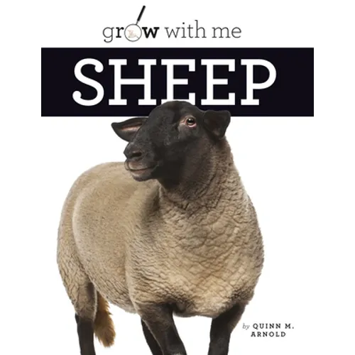 Sheep