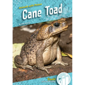 Cane Toad