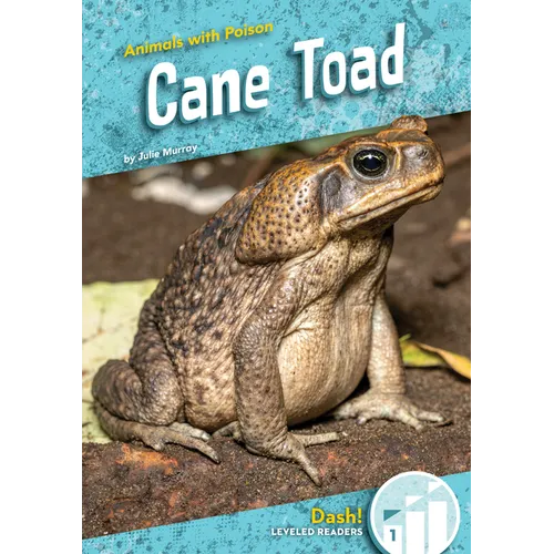 Cane Toad