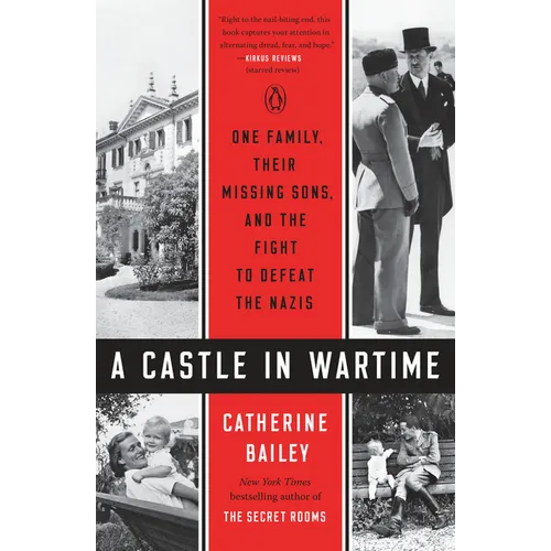 A Castle in Wartime: One Family, Their Missing Sons, and the Fight to Defeat the Nazis