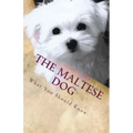 The Maltese Dog: What You Should Know