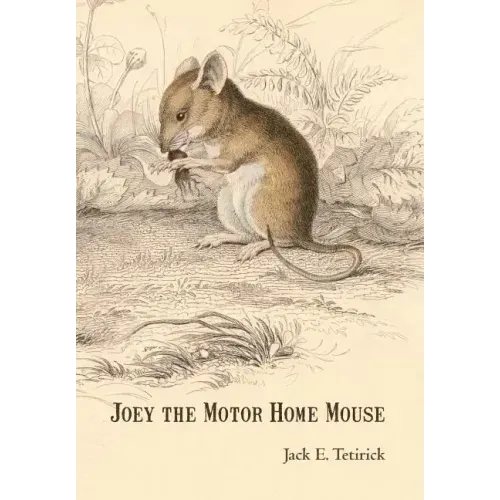 Joey the Motor Home Mouse