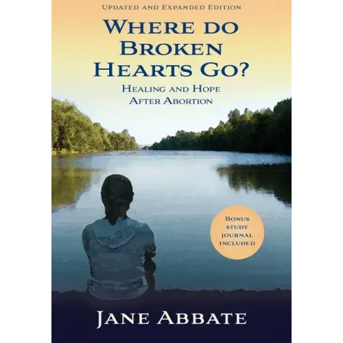 Where Do Broken Hearts Go?: Healing and Hope After Abortion