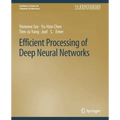 Efficient Processing of Deep Neural Networks