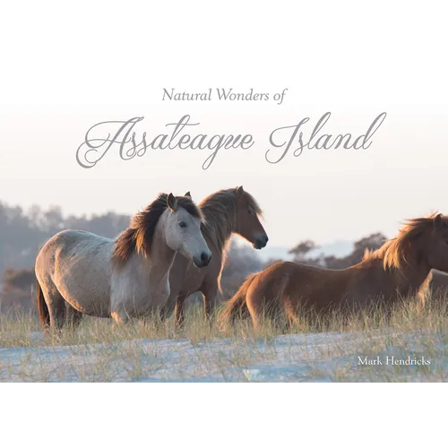 Natural Wonders of Assateague Island