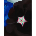 Georgia O'Keeffe: In New Light