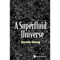 A Superfluid Universe