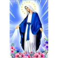 La Historia Jamas Contada de la Virgen Maria