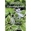 Upon a Slender Stalk