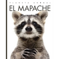 El Mapache