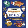 Brain Games - Sticker by Number - Vintage: Sea Life (28 Images to Sticker)