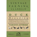 Duck Breeding - A Collection of Articles on Selection, Crossing, Feeding and Other Aspects of Breeding Ducks