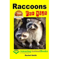 Raccoons For Kids